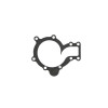 Cometic Jaguar 48-69 XK6 .018in AFM Water Pump Gasket - C4337-018 Photo - Primary