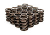 Valve Springs - Dual 1.500