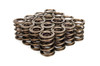 Valve Springs - Dual 1.405