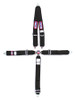 5 PT Harness System Q/R BK Roll Bar 3inSub