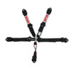 Harness 5pt LL Pull-Down 2in Lap & Shoulder