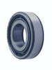 Pinion Roller Bearing
