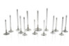 Ferrea Chevrolet Big Block 2.3 Head 5/16 Stem Dia Competition Plus Intake Valve - Set of 8 - F1240P User 1