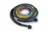 Haltech NEXUS S2/S3 Universal Wire-In Harness Kit - 2.5M (8ft) - HT-182200 User 1