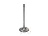 Manley Chevrolet Big Block Exhaust Valve Kit - 1.940in Head Dia. 5.422in O/A Length, 0.3415in Stem - 11773-8 User 2