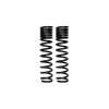 Skyjacker 66-76 Ford F100 / 76-79 F150 / 78-79 Bronco 4WD 6in Front Dual Rate Coil Springs - 176DR Photo - Primary