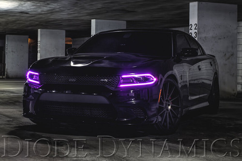 Diode Dynamics 2015-2018 Dodge Charger RGBW DRL LED Boards - DD2003 User 3