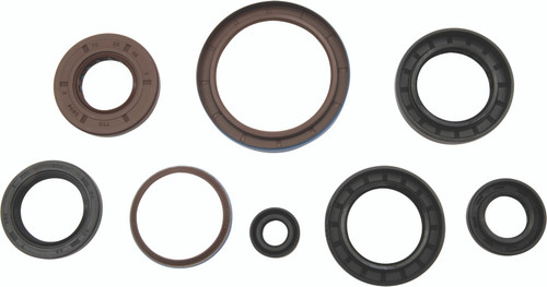Vertex Gaskets 12-14 Arctic Cat 550 EFI 4x4 Oil Seal Kit - 822381 Photo - Primary