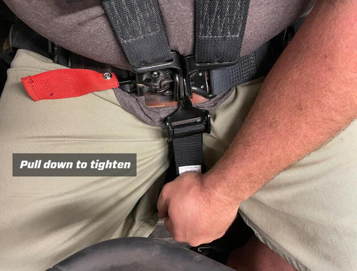 PRP 5.2 Harness - Gold - SB5.2S-GO Photo - Close Up