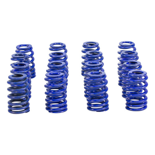 COMP Cams GM 603/604 0.570in Lift 1.077/1.282 OD Beehive Hustler Valve Spring Kit - H604-16 Photo - Primary