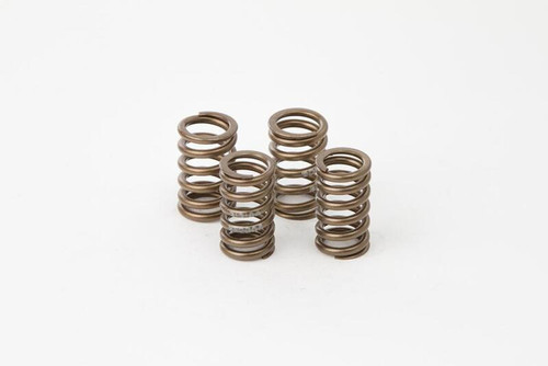 Hot Cams Valve Spring Kit, Boxed, ea, 1 - VSK2006 User 1