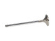 Manley 92-00 Acura Integra / 99-00 Honda Civic 16 Valve 28.0mm Race Flo Exhaust Valve (Single Valve) - 11373-1 Photo - out of package