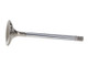 Manley Chrysler Hemi 6.1L w/ Triple Groove 1.595in Race Flo Exhaust Valves (Set of 8) - 11669-8 User 1