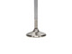 Manley 92-00 Acura Integra / 99-00 Honda Civic 16 Valve 33.0mm Race Flo F/F Intake Valve (SINGLE) - 11690-1 User 3