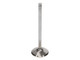 Manley 92-00 Acura Integra / 99-00 Honda Civic 16 Valve 33.0mm Race Flo F/F Intake Valve (SINGLE) - 11690-1 User 2