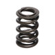 Manley Honda B Series Non V-Tec 16pc Valve Springs - 22120-16 User 1