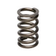 Manley Mitsubishi 4G63 00in/.775in Valve Spring (Single) - 22125-1 User 1