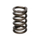 Manley Nissan (RB26DET) 24pc Valve Springs - 22175-24 User 1