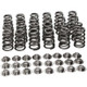 Manley Toyota Supra 2JZ 6 Cyl. Valve Spring and Retainer Kit (w/o Valve Locks) - 26135 Photo - out of package