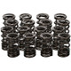 Manley Honda K20A/K20Z Valve Spring and Retainer Kit (w/o Valve Locks) - 26140 User 2