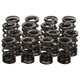 Manley Honda K20A/K20Z Valve Spring and Retainer Kit (w/ Valve Locks) - 26140K User 2