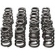 Manley Subaru WRX/STi .490in Valve Spring and Retainer Kit (w/o Valve Locks) (16 each) - 26185 User 4