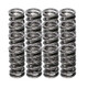 Manley Chevy LS Valve Spring and Tool Steel Retainer Kit (w/ Valve Locks) - 26361634KS User 1