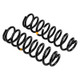 ARB / OME Coil Spring Front Race Use Only 4In Lc - 2419 Photo - out of package