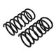 ARB / OME Coil Spring Rear Terracanr - 2603 Photo - out of package