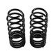 ARB / OME Coil Spring Rear 80 Hd Low - 2862 Photo - Unmounted