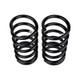 ARB Coil Maz Tribute R - 2905 Photo - Unmounted