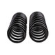 ARB / OME Coil Spring Rear Isuzu Trooper - 2912 Photo - Close Up