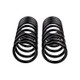 ARB / OME Coil Spring Rear Frontera 99 On - 2913 Photo - Close Up