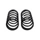 ARB / OME Coil Spring Rear P/Find R50 - 2922 Photo - Close Up