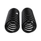 ARB / OME Coil Spring Front Jeep Zj V8- - 2934 Photo - Close Up