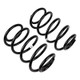 ARB / OME Coil Spring Rear Jeep Kj Hd - 2948 Photo - out of package