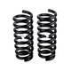 ARB / OME Coil Spring Front Vitara 4 Lwb - 2953 Photo - Unmounted