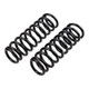 ARB / OME Coil Spring Rear Vitara Lwb - 2955 Photo - out of package