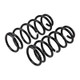 ARB / OME Coil Spring Front Gu - 2973 Photo - out of package