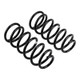 ARB / OME Coil Spring Front Gu Low - 2974 Photo - out of package