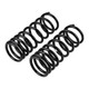 ARB / OME Coil Spring Rear Gu Wagon - 2980 Photo - out of package