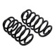 ARB / OME Coil Spring Rear Jeep Tj - 2996 Photo - out of package