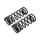 ARB / OME Coil Spring Rear Coil Gq Rear - 2GQ02CM Photo - out of package