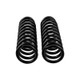 ARB / OME Coil Spring Front Spring Wk2 - 3120 Photo - Close Up