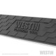 Westin 19-22 Chev/GMC Silverado/Sierra 1500 DC (No 2019 Ltd) Platinum 4 Oval Nerf Step Bars - Blk - 21-4125 Photo - Unmounted