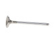 Manley Chevrolet LT1 6.2L 1.590in Head Diameter Race Master Exhaust Valve - Single - 12345-1 User 1