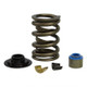 COMP Cams Ford GT40 / GT40P Cylinder Head Valve Spring Kit - GT40CS-KIT Photo - out of package