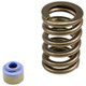 COMP Cams 88-06 Jeep 4.0L .450in Lift Valve Springs Kit - 983J-KIT Photo - Unmounted