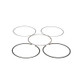 ProX 02-22 YZ85 Piston Ring Set (47.50mm) - 02.2113 User 4