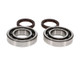 ProX 09-21 YFZ450R Crankshaft Bearing Kit - 23.CBS24009 User 1